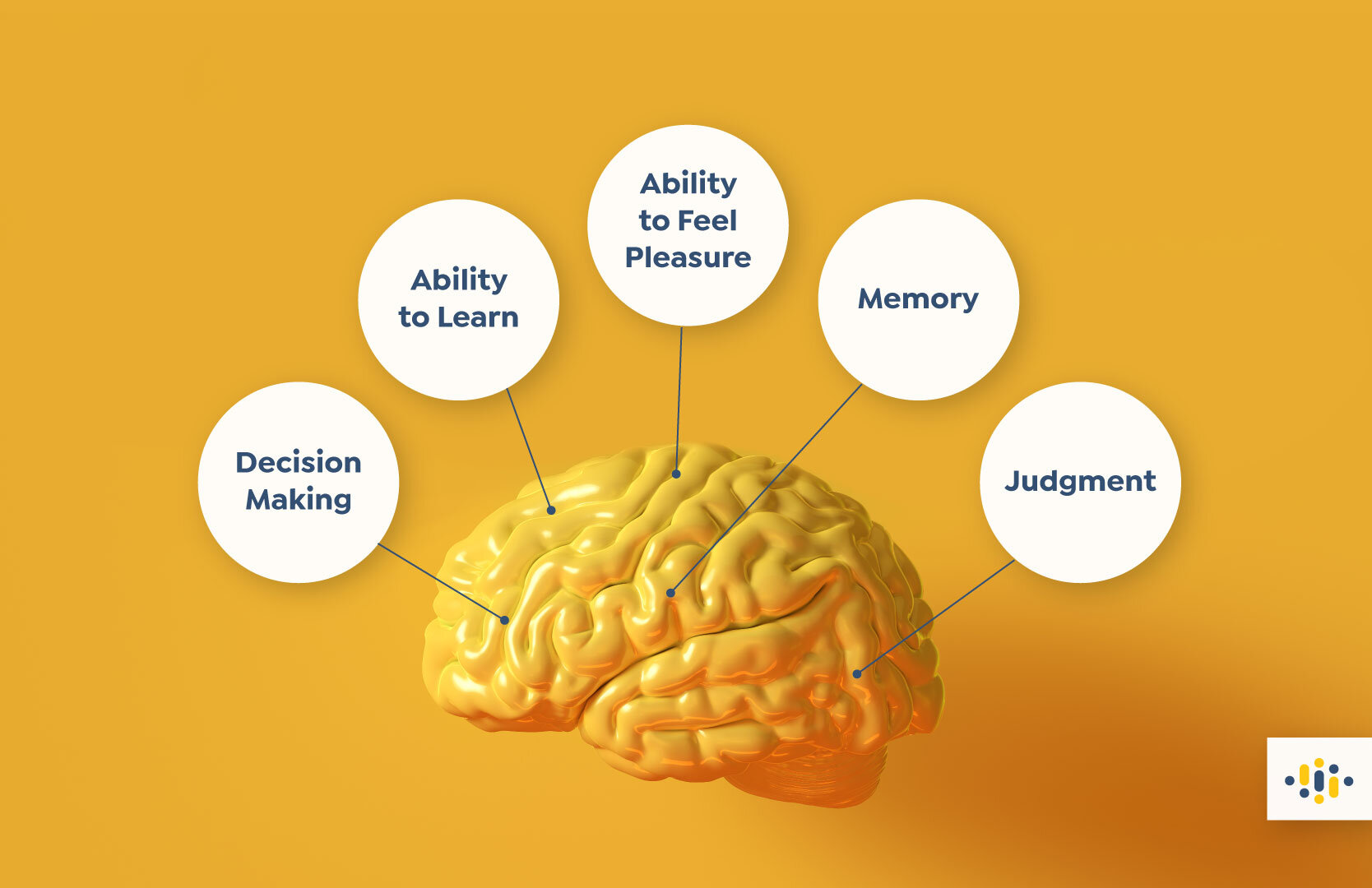 illicit-drugs-know-your-neuro