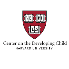 center for developing child